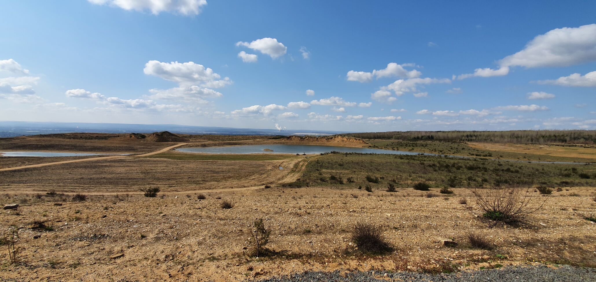 Sophienhöhe Hambach Wandern