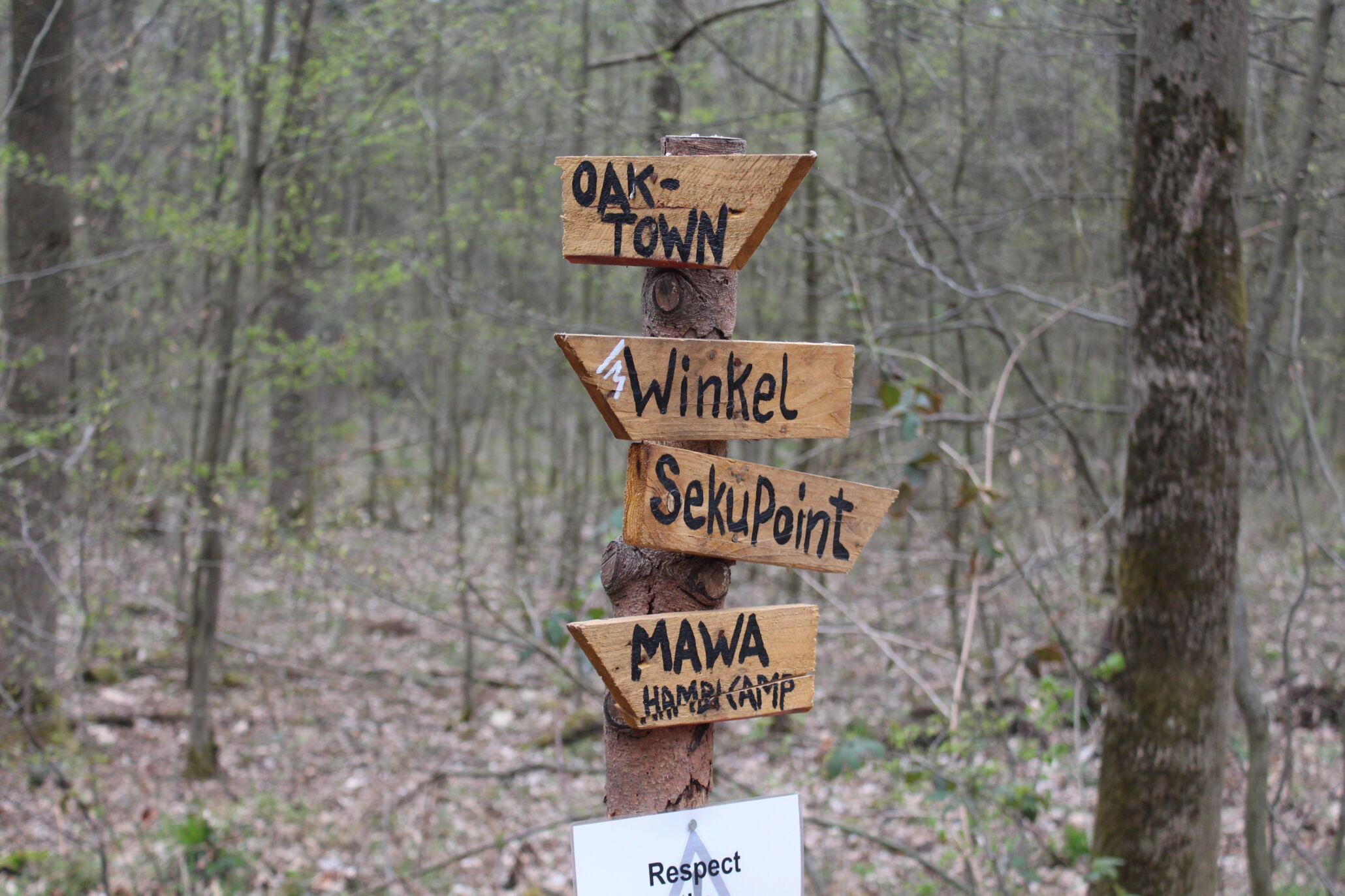 Der Hambacher Forst von Garzweiler
