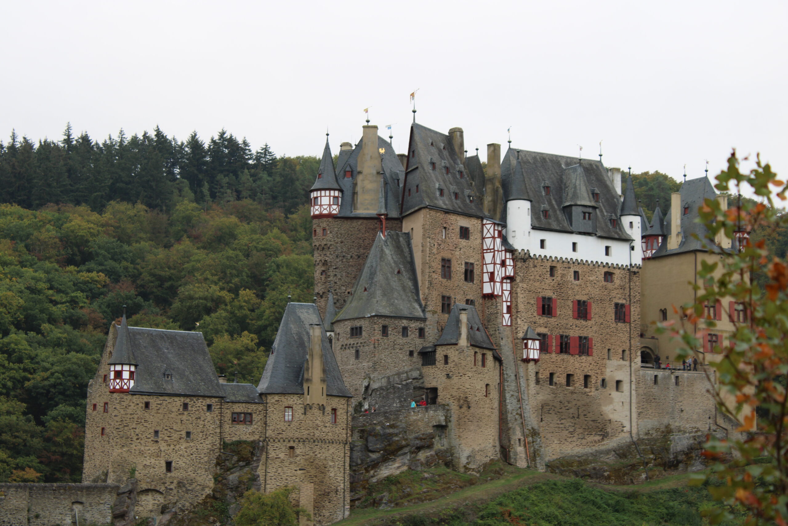 Wandern zur Burg Eltz – Traumhafte Natur & märchenhafte Kulisse