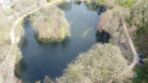 Kleiner See mit Bäumen und einer Insel im Stadtwald.