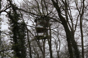 Der erste Baumhaus vom Bürgewald