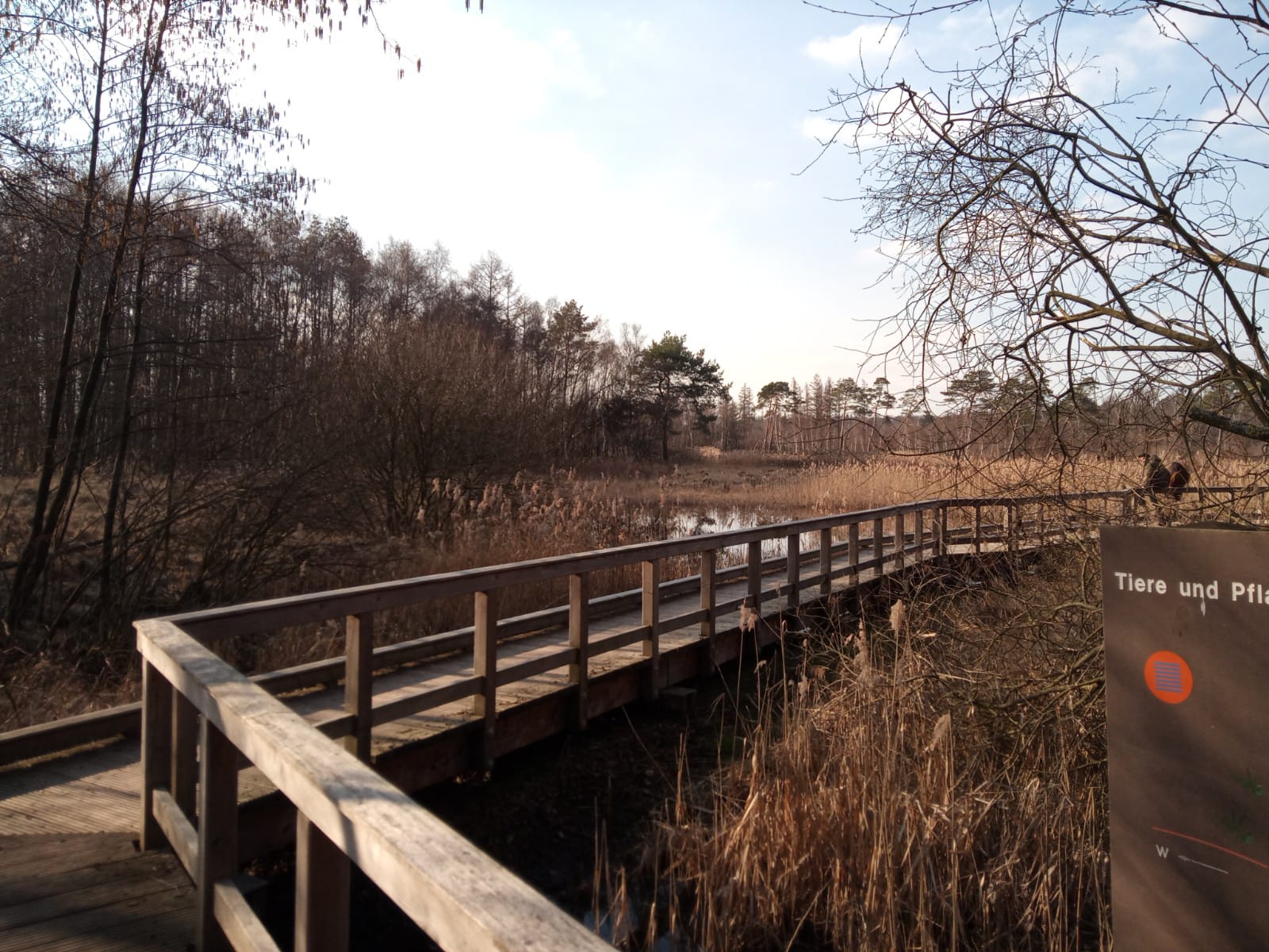 Elmpter Schwalmbruch Wanderung