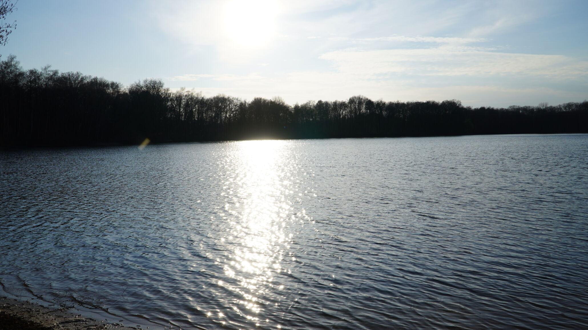 dahmensee brüggen