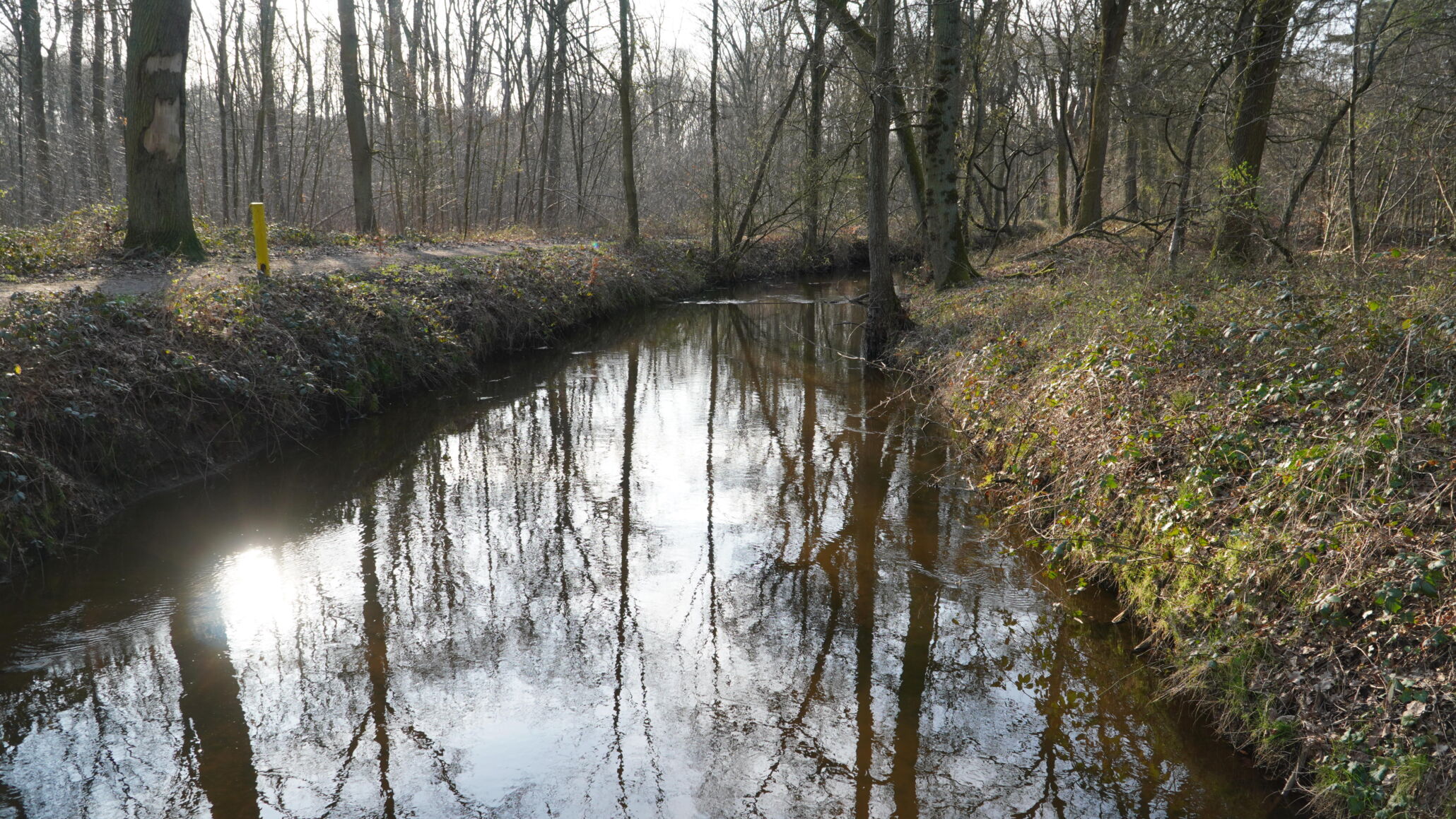 dahmensee fluss in brüggen
