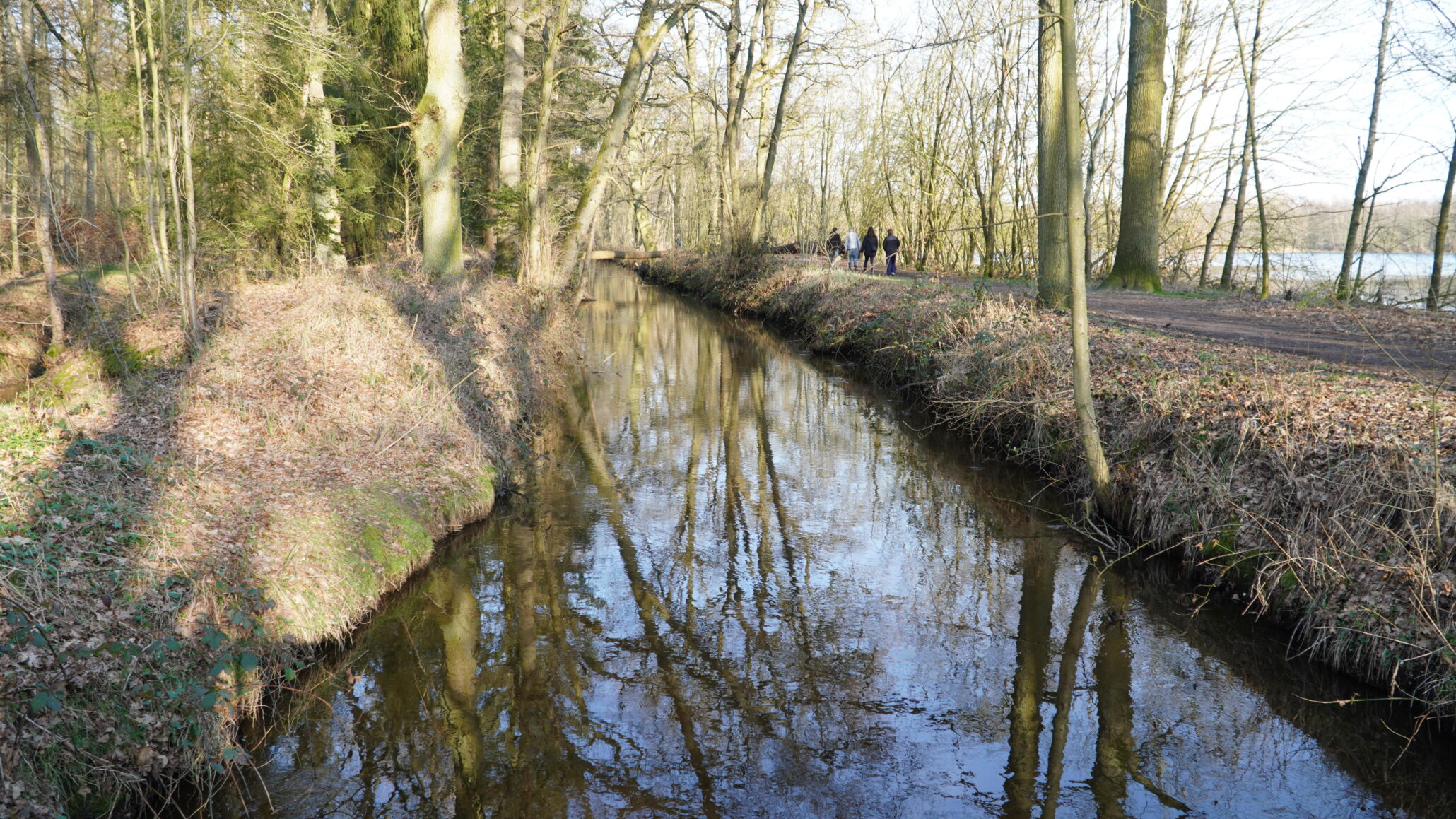dahmensee fluss in brüggen