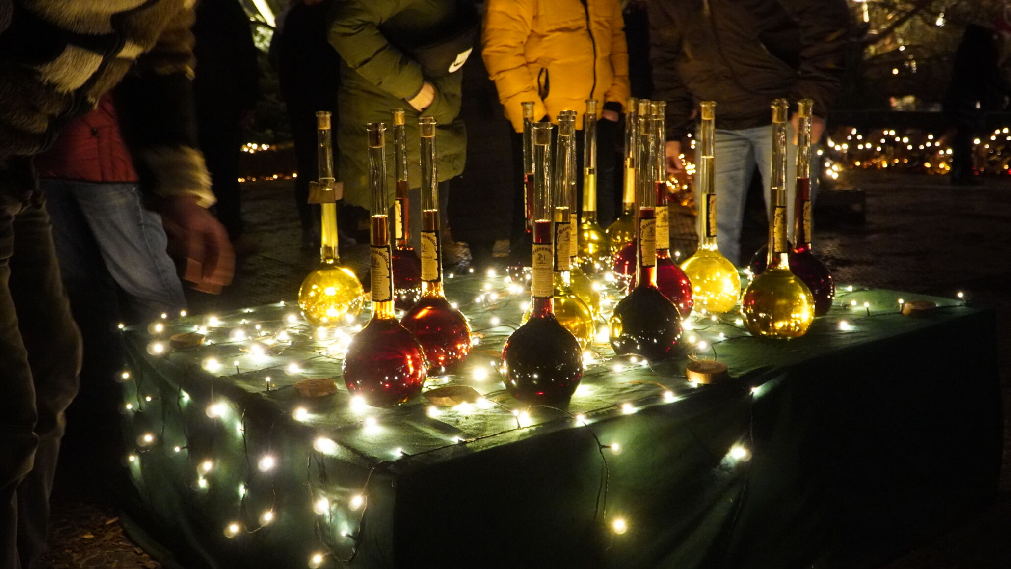 federnbaumpark magische welt phantastische lichterweihnachtsmarkt dortmund lichter