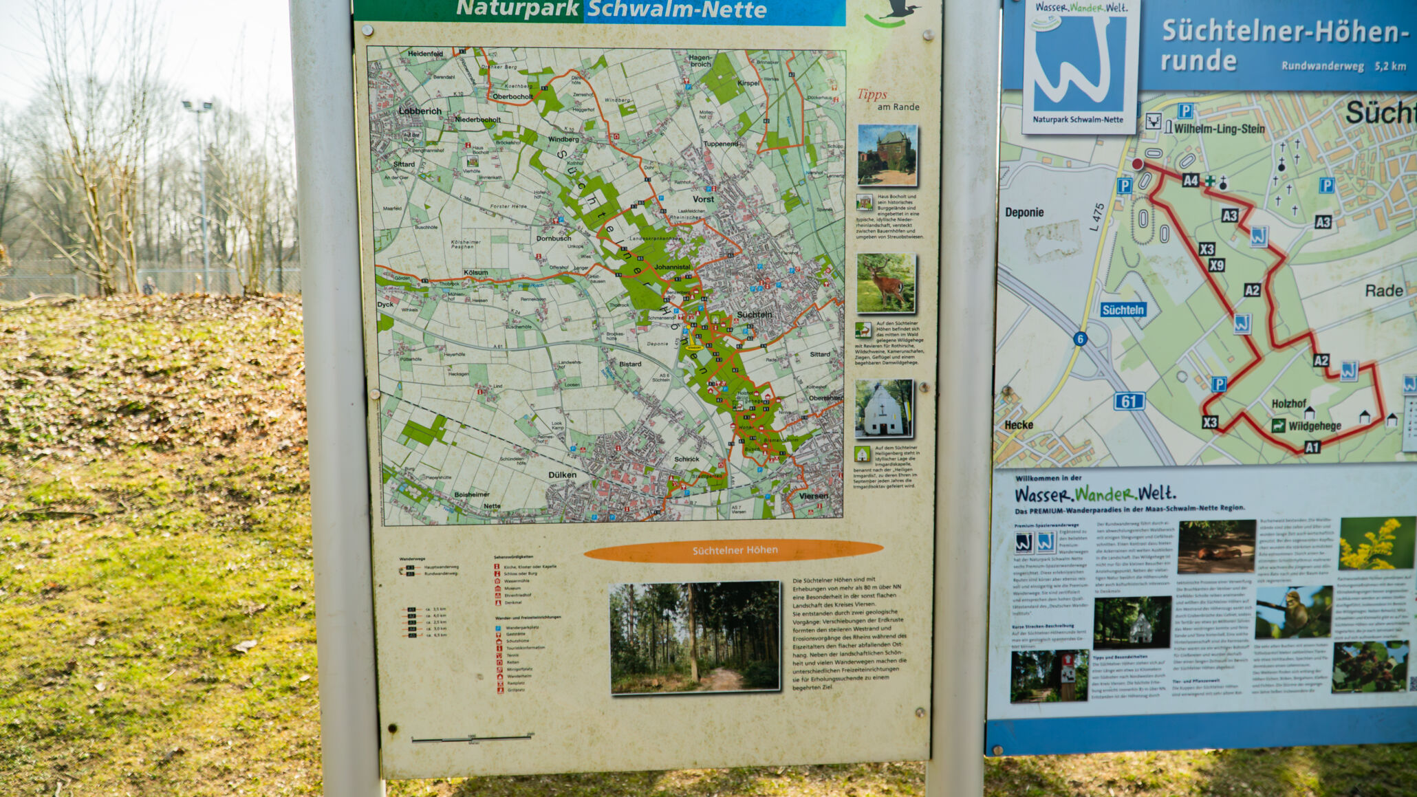 Markierung des Premium-Wanderwegs Süchtelner Höhenrunde auf einem Baumstamm