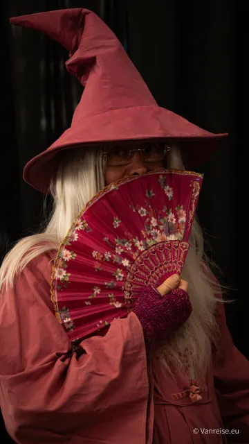 MagicCon 9 2026 in Bonn: Fantasy- und Mystery-Convention - Galerie - DSC08363