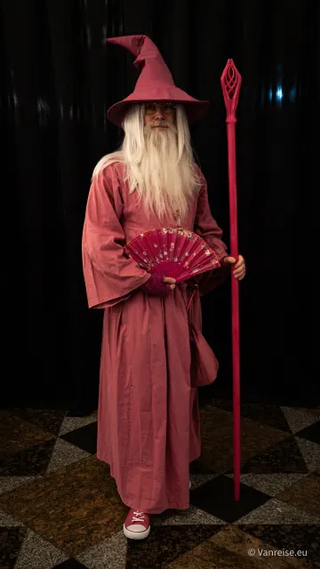 MagicCon 9 2026 in Bonn: Fantasy- und Mystery-Convention - Galerie - DSC08366