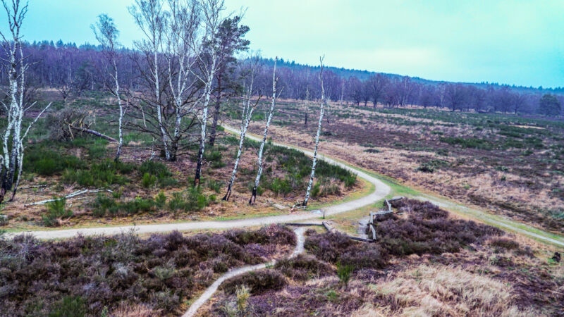 Wanderweg durch die Heide am Elfenmeer