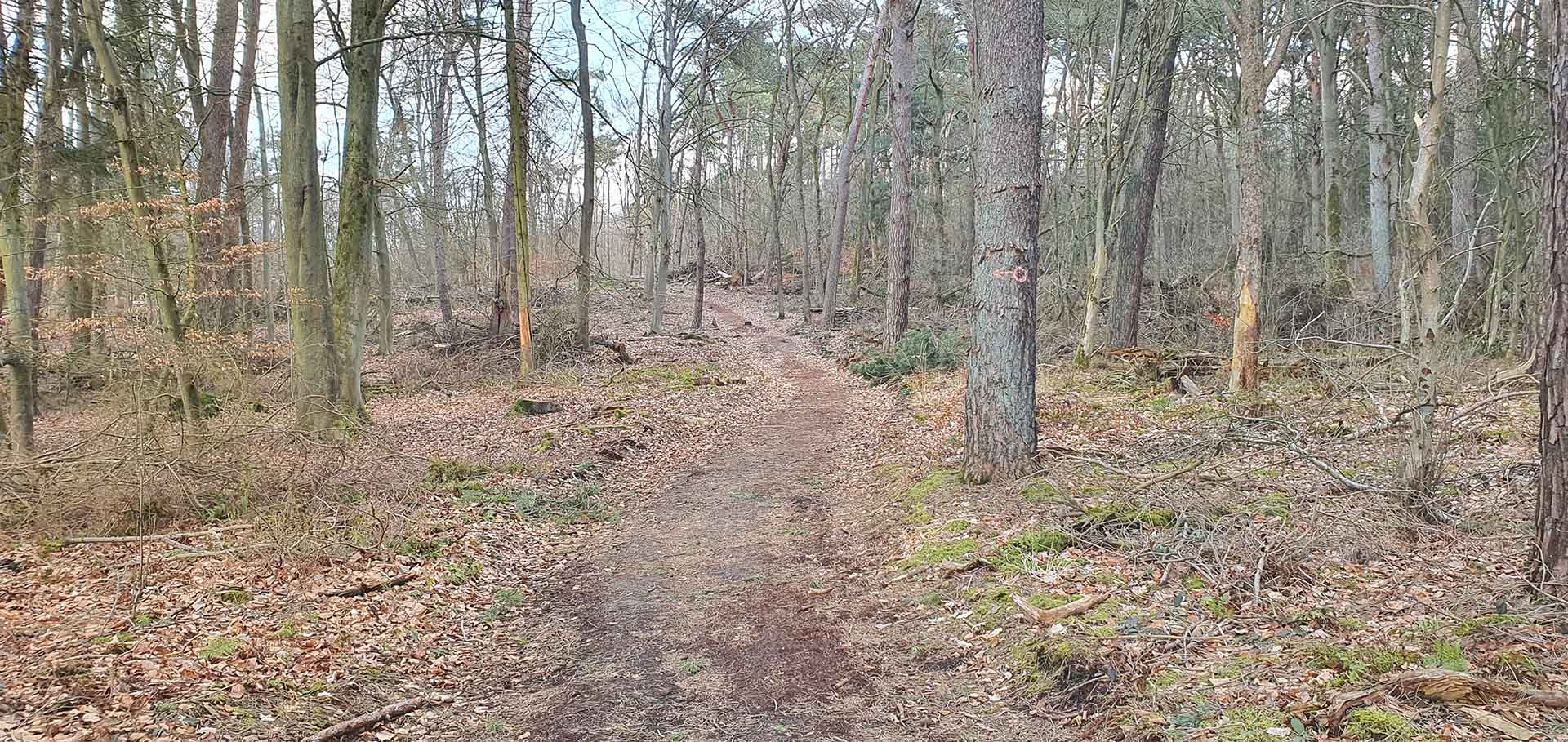 ponyreiten-im-hardter-wald