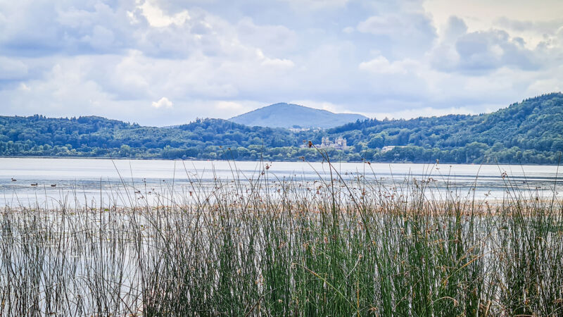 blick-auf-die-umgebung-vom-see