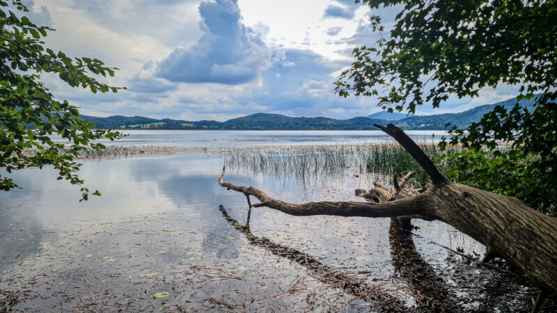 laacher-see-blick-aufs-wasser-mit-baeumen