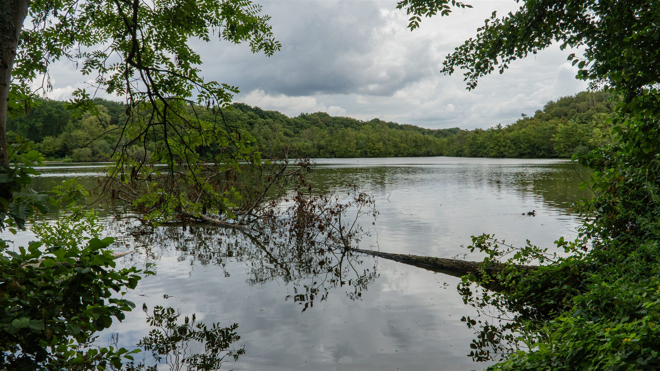 Von Bäumen eingerahmter Blick auf den Holtmühlenweiher