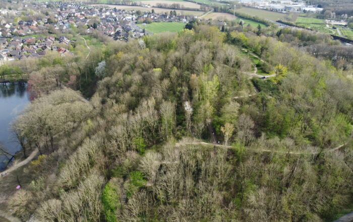 Berg mit Bäumen und einem See - Rheydter Müllberg