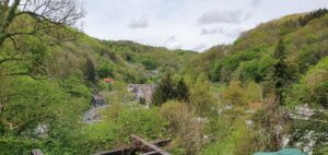 Grüner Wald mit einem Dorf. Unterburg der Schloss Burg