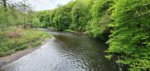 Fluss mit einer Kurve und Bäumen. Die Wupper