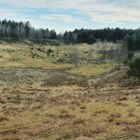 Erholung Brachter Wald